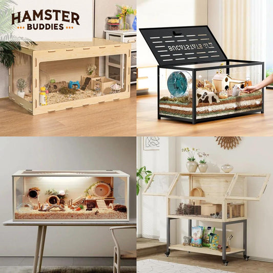 Top 5 Best Hamster Cages for a Safe and Comfortable Habitat