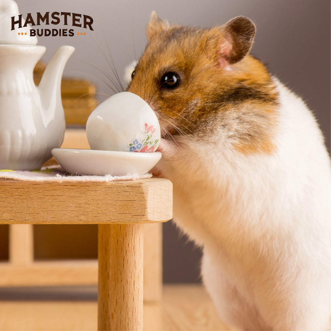 Is Your Hamster Too Fat? Understanding Hamster Weight and Health