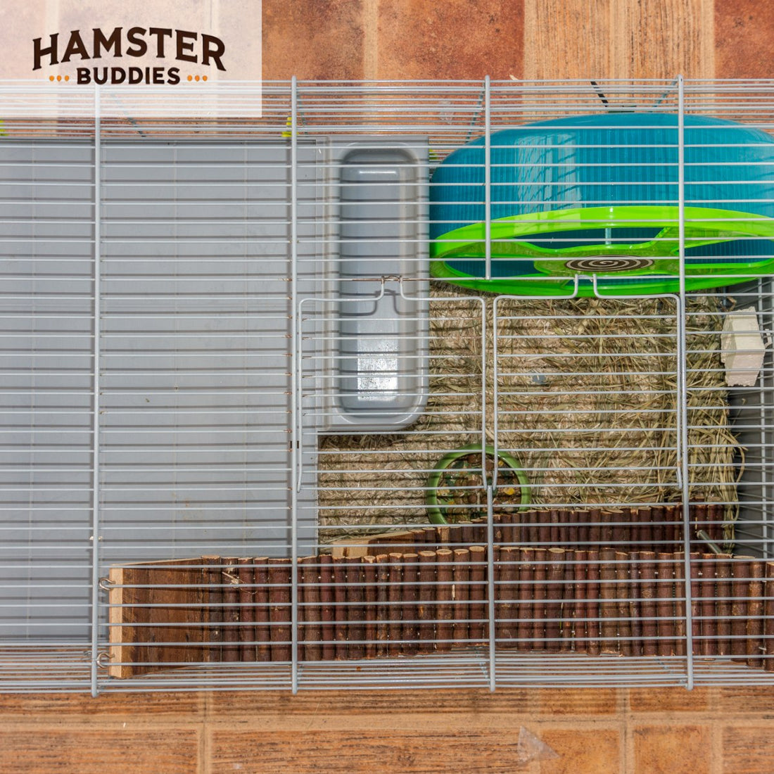 How to Clean Your Hamster's Cage: Frequency and Best Practices