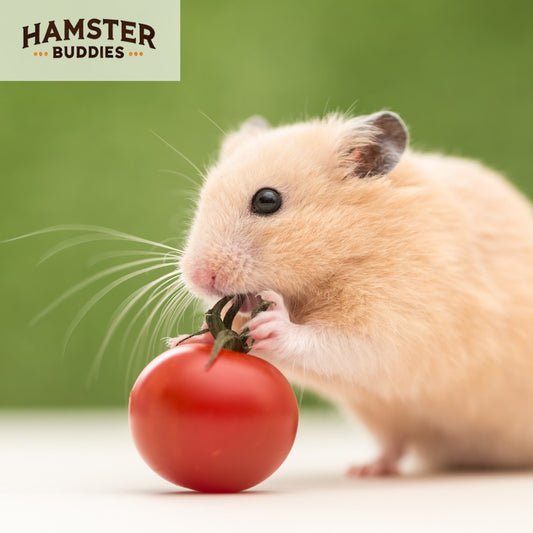 Can Hamsters Eat Vegetables? A Guide to Safe Veggies for Your Hamster