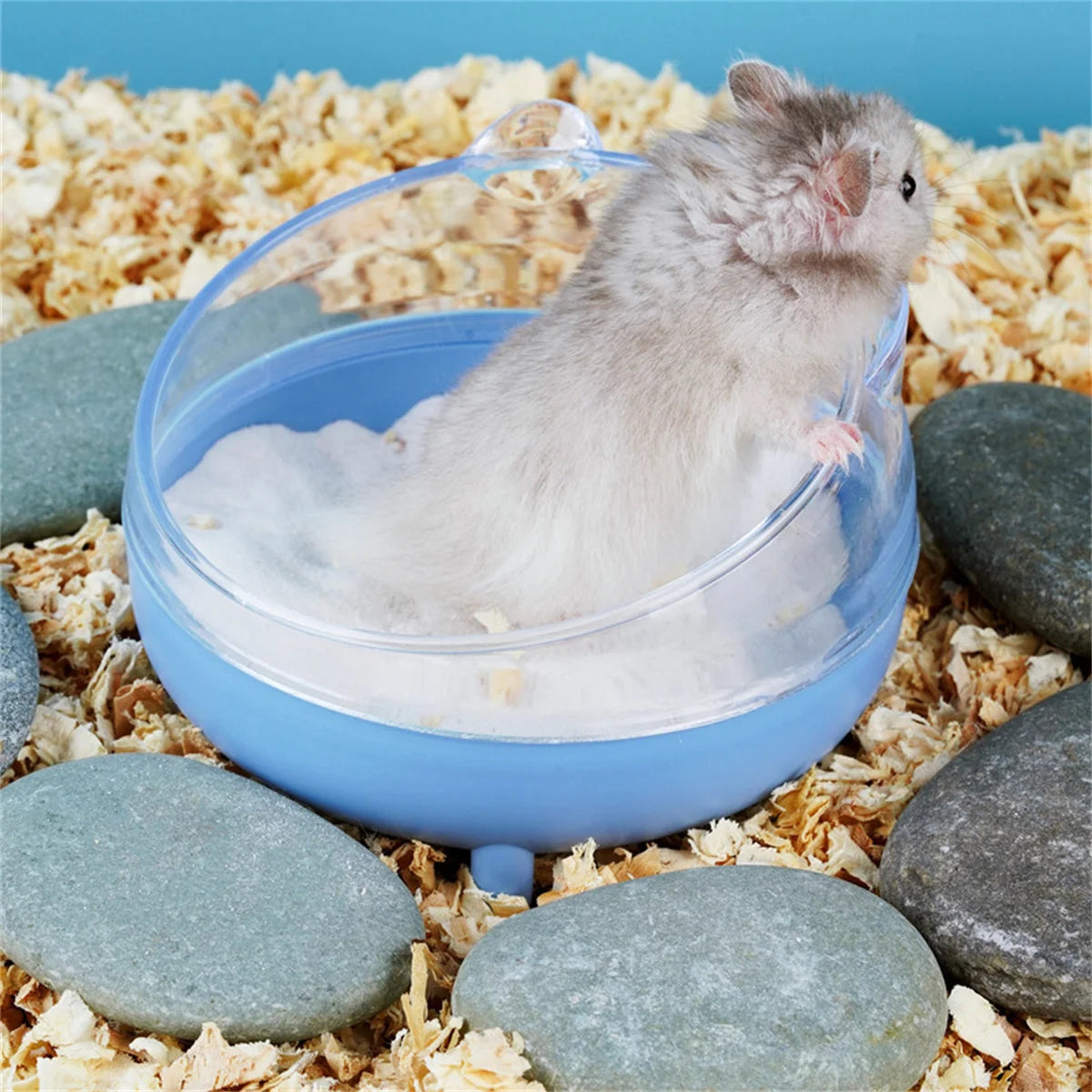 Hamster Bathroom House Sandbox Full Transparent