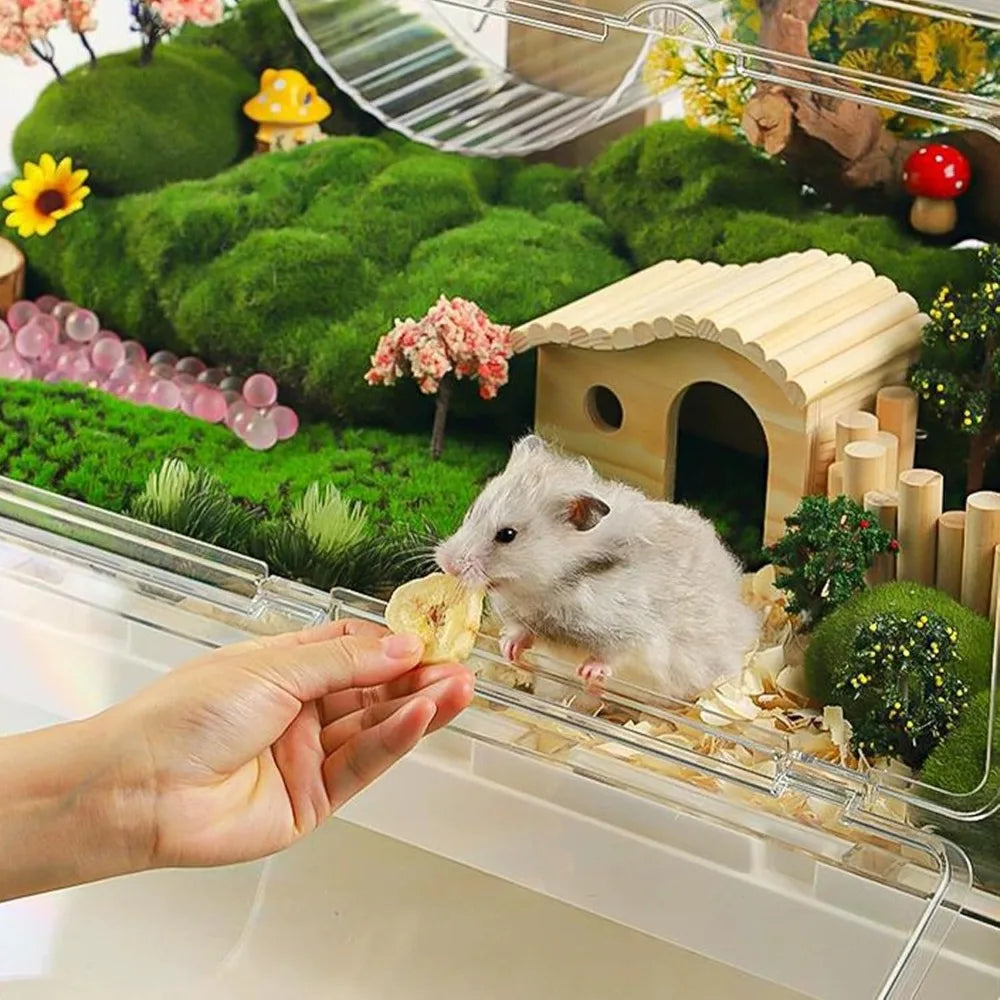 Large Acrylic Hamster Cage Hamster Buddies