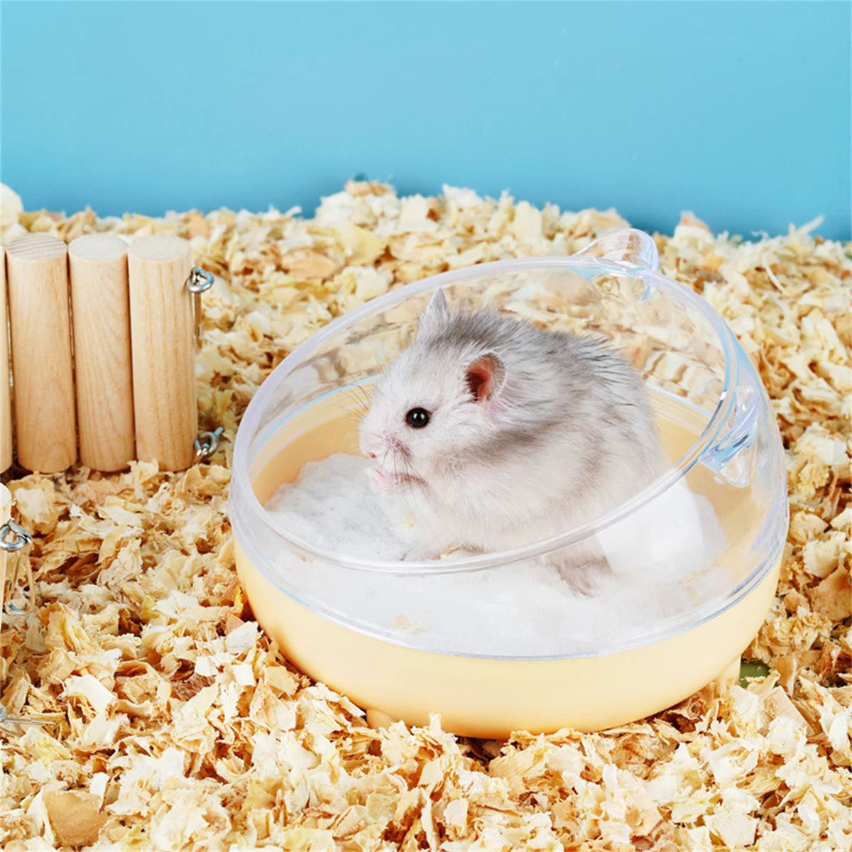 Hamster Bathroom House Sandbox Full Transparent