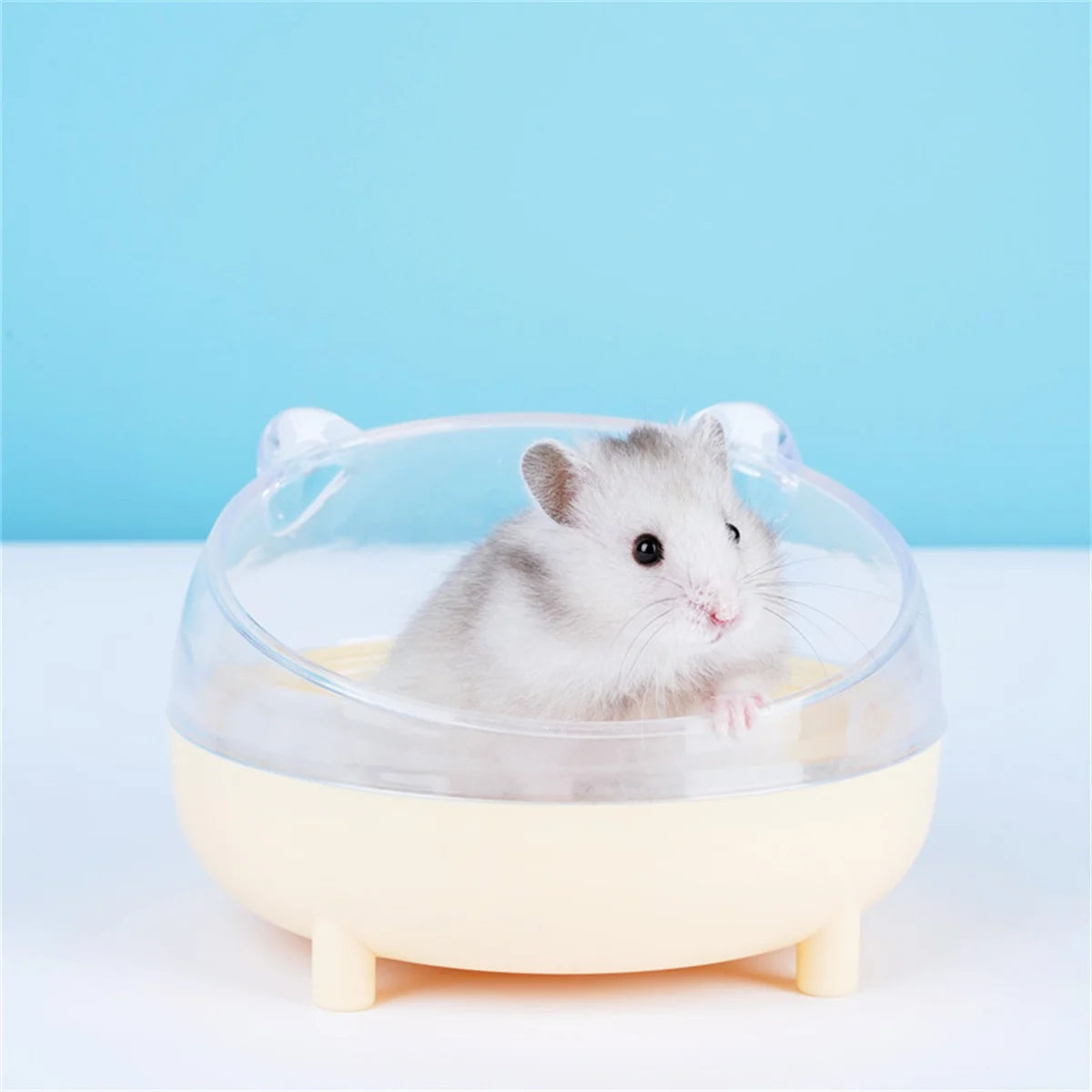 Hamster Bathroom House Sandbox Full Transparent