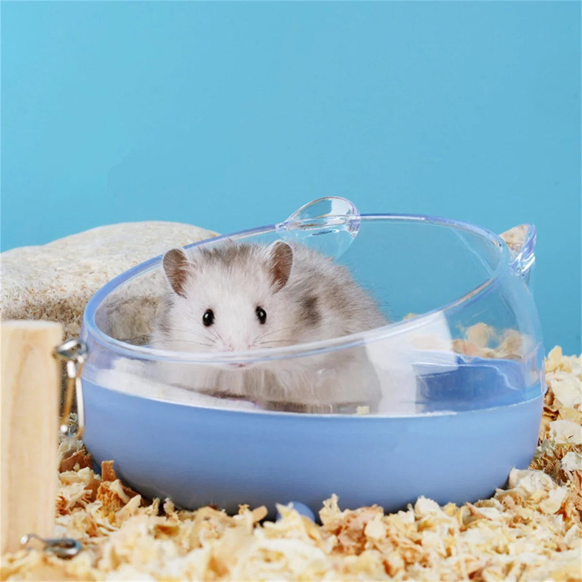 Hamster Bathroom House Sandbox Full Transparent